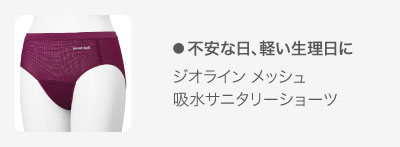 不安な日、軽い生理日に。
ジオライン メッシュ 吸水サニタリーショーツ
