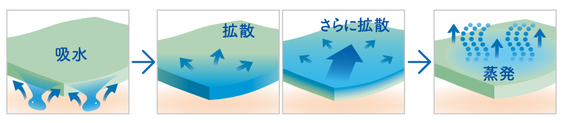 吸水から拡散、そして蒸発していく図