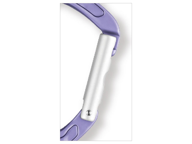 ストレートゲートのカラビナ