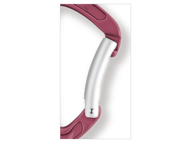 ベントゲートのカラビナ