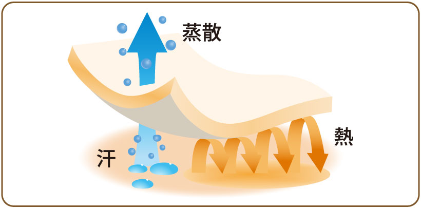 メリノウールの構造