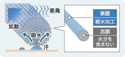繊維の表面は親水加工、芯部は水分を含まない。