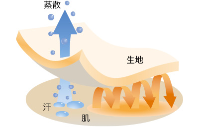 スーパーメリノウール 機能：肌からの熱を生地が包み、汗は蒸散させる